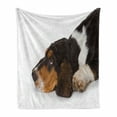 thumbnail image 1 of Basset Hound Soft Flannel Fleece Throw Blanket, Dog Innocently Lying Side Studio Shot Photo, Cozy Plush for Indoor and Outdoor Use, 60" x 80", Dark Taupe Coconut, by Ambesonne, 1 of 6