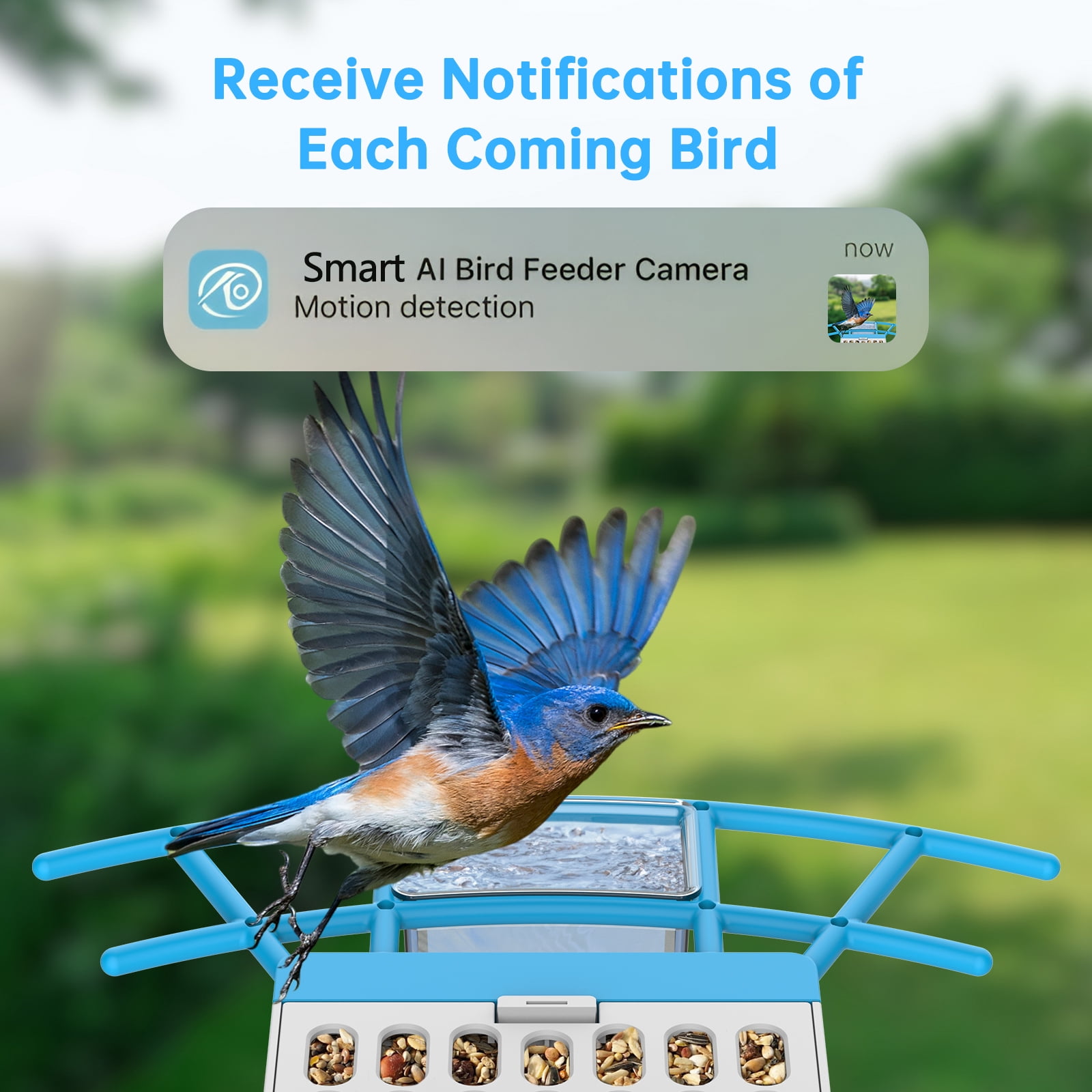 Smart Bird Feeder with Camera – 2K Live Video, AI Recognition, Solar Powered, Squirrel-Proof Outdoor Wireless Wifi Birdhouse, Unique Gift for Bird Lovers