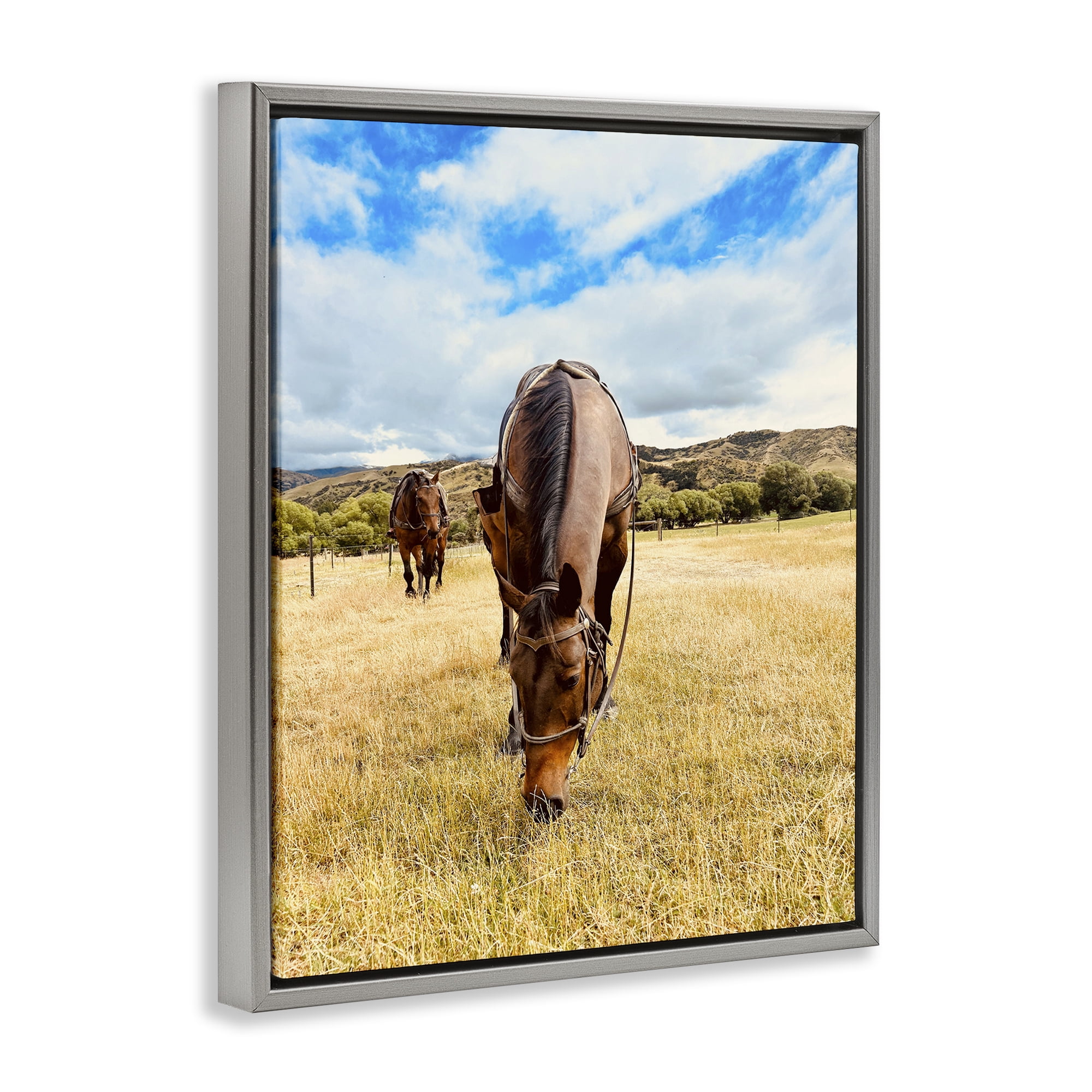 Stupell Industries Grazing Horses Pasture Animals Photography Gray Floater Framed Canvas Art Print Wall Art, 25 x 31