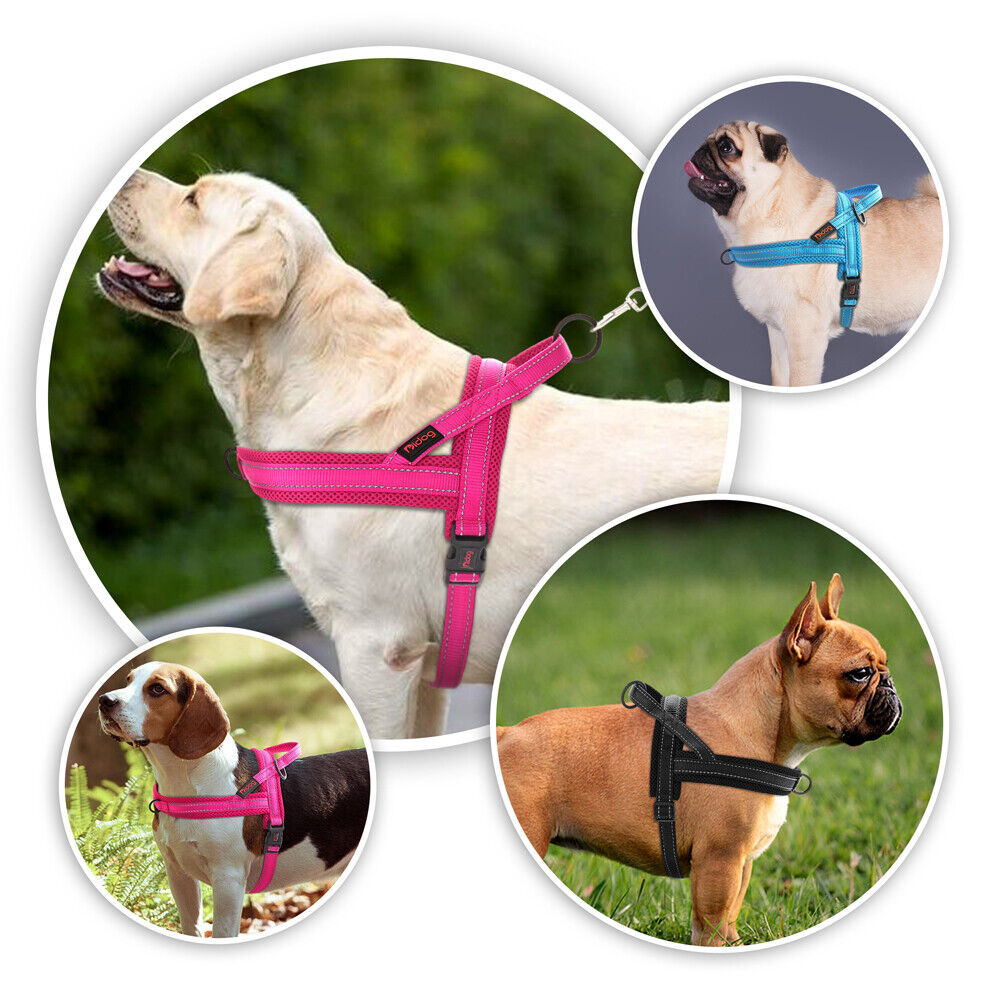 Pet Artist No Pull Dog Pet Dog Harness Reflective Nylon Mesh Padded with Handle Front Leading