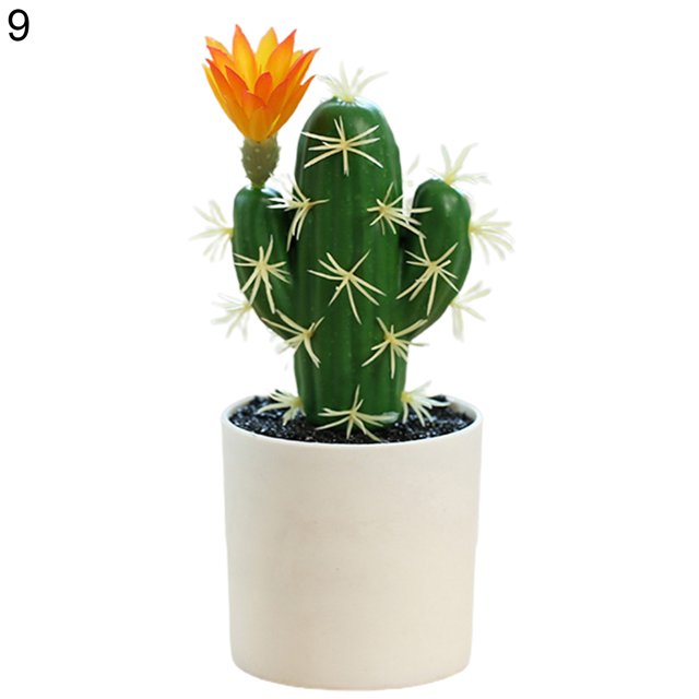 Artificial Cactus Plants, Mini Fake Desert Plants in White Pots