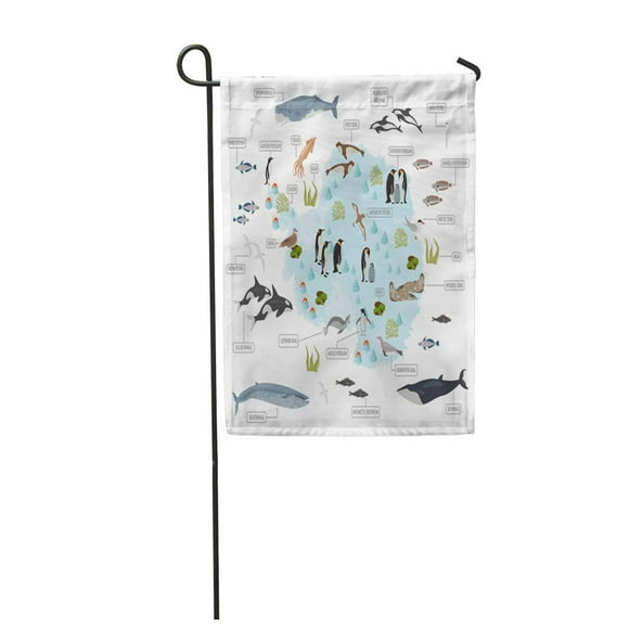POGLIP Antarctic Antarctica Flora and Fauna Map Flat Birds Garden Flag Decorative Flag House Banner 12x18 inch