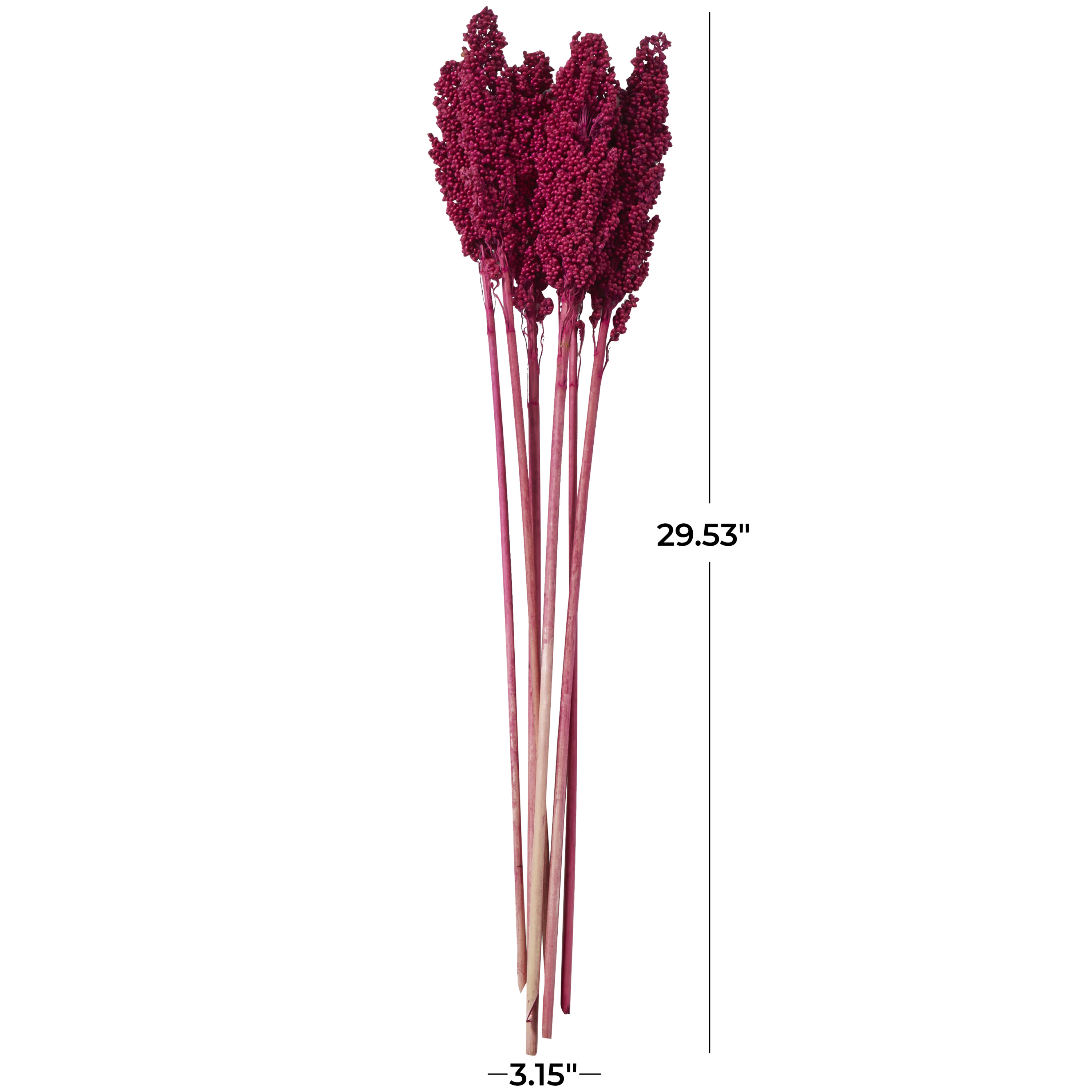 30" Dried Plant Natural Foliage Corn Maze Bouquet with Long Stems, by DecMode