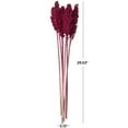 thumbnail image 3 of 30" Dried Plant Natural Foliage Corn Maze Bouquet with Long Stems, by DecMode, 3 of 7