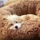 thumbnail image 5 of Cama para mascotas Nononfish, camas para cachorros pequeños, lavables, 5 of 6