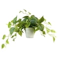 thumbnail image 2 of Artificial Pothos Plant with Plastic Pot, Realistic Hanging Faux Plant for Indoor Outdoor Shelf, Bathroom, Kitchen Decor, A, By Preplabs, 2 of 9