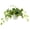 A, variant on Kilougeis Artificial Plants Greenery Watermelon Peperomia, Fake Potted Plants Faux Hanging Vine Plant with Pot Home Decor
