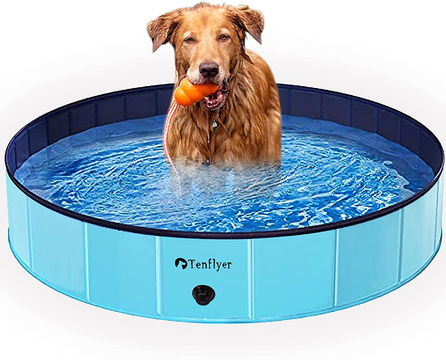 Intera Foldable Pet Swimming Pool for Dogs Cats