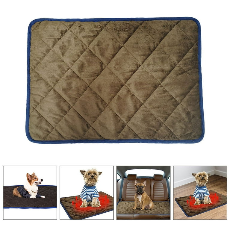 Self warming sales pet blanket