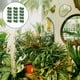 thumbnail image 4 of unbranded 50Ud Abrazadera Plástica Para Fijar Plantas En Y Enrejados Exteriores, 4 of 8
