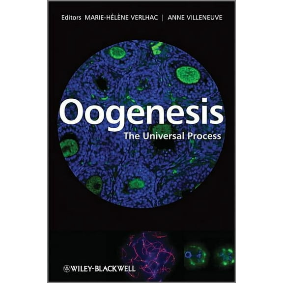 Oogenesis: The Universal Process, (Hardcover)
