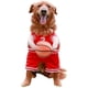 thumbnail image 1 of Disfraz Baloncesto para Perro Con Pelota Halloween (L ) Rojo, 1 of 9