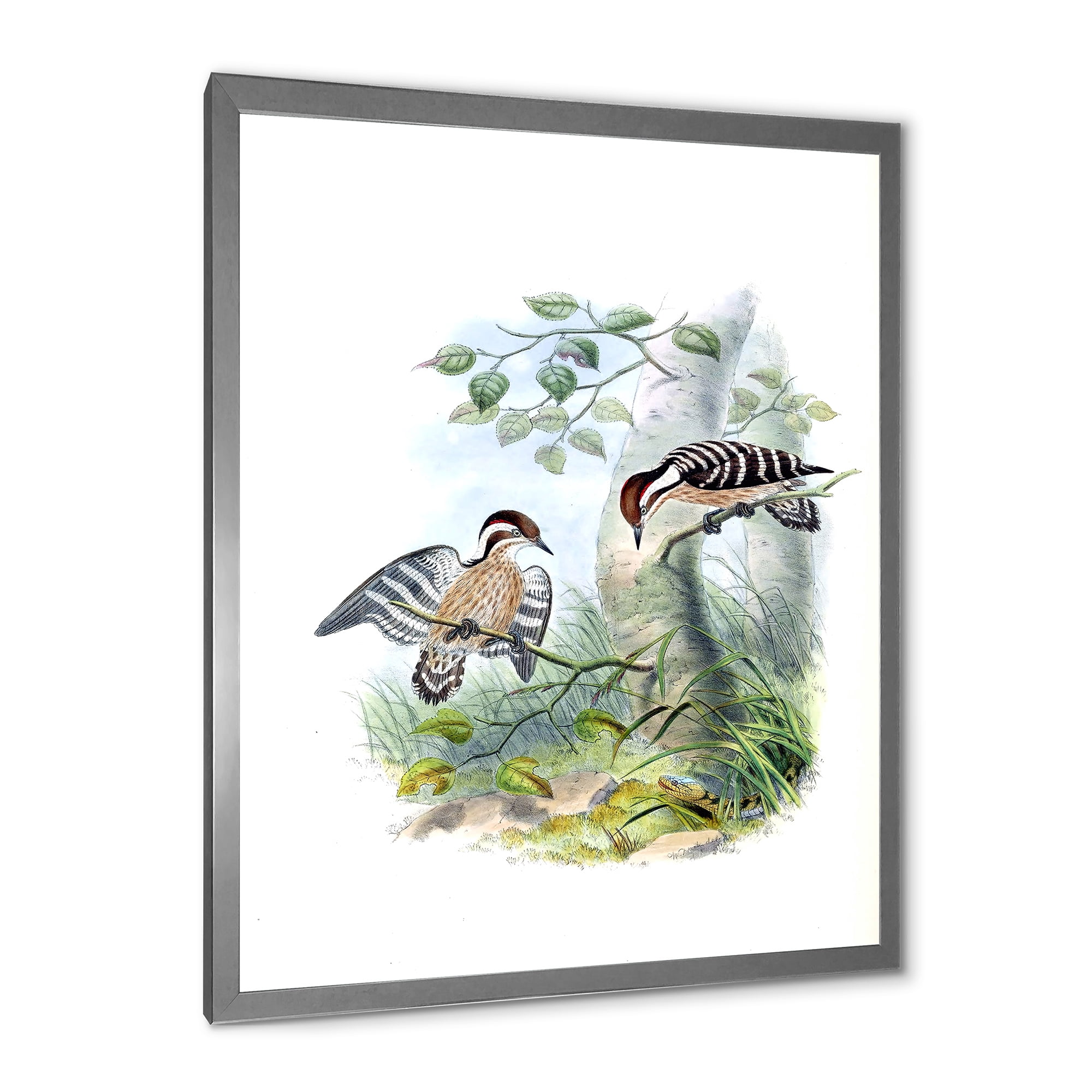 Designart 'Ancient Birds In The Wild I' Traditional Framed Art Print