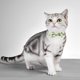thumbnail image 4 of Collar para Gatos con Lazo y Cascabeles Del Festival Irlandés para Mascotas, 4 of 6