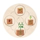 thumbnail image 5 of Tablero de ciclo de vida, juguete para niños, juguetes educativos tempranos, material didáctico para Navidad. Planta, 5 of 8