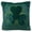 Green, variant on St Patricks Day Pillow Covers 18x18 In St Patricks Day Decorations for Home Shamrock Plush Velvet Decorative Throw Pillow Covers Farmhouse St Patricks Day Decor