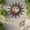 Ver A, variant on Sun Moon Star Metal Wall Art Sculpture Decorative Garden Wall Decor