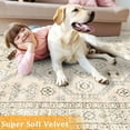 thumbnail image 3 of 4x6 Area Rugs - Washable Rug for Living Room, Non-Slip Bedroom Rug, Stain Resistant Soft Rug (Beige, 4'x6'), 3 of 6