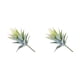 thumbnail image 4 of Wosthever Suculentas falsas, belleza de la naturaleza para el hogar o la oficina, suculentas artificiales, plantas artificiales para exteriores Type2 NO2, 4 of 6