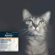 thumbnail image 3 of Suplemento para Animales Vet One Advita Polvo Probiótico para Gatos 30g, 3 of 6