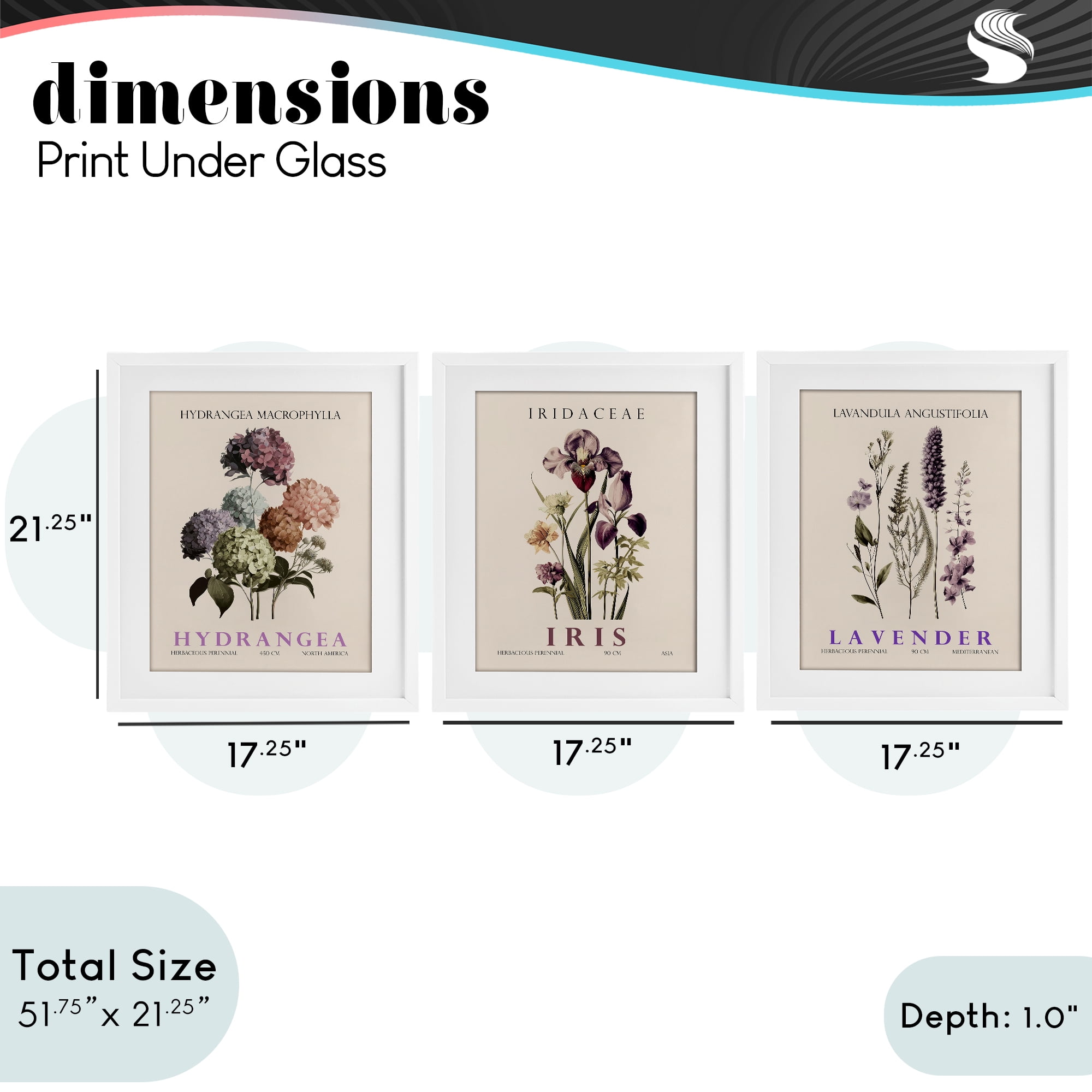 Stupell Industries Botanical Bundles & Sprigs 3 Piece White Framed Print Under Glass Set, design by Christopher Giampietro