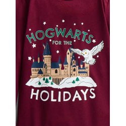 Warner Bros. Harry Potter Kids Matching Family Pajama Set photo 2