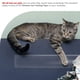 thumbnail image 4 of Pet Cat Anti-Scratch Guard Shield Tira de Entrenamiento Sofá Pared Protector de Puerta Etiqueta-M ER, 4 of 5