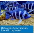 thumbnail image 2 of API Tap Water Conditioner Detoxifies Heavy Metals and Dechlorinates Aquarium Water, 2 of 4