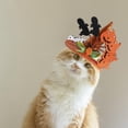 thumbnail image 4 of De Halloween Lindo Mascota Calabaza Gecko Sombrero Mascota Divertido Sombrero Para Cumpleaños Halloween Navidad Scienceny HA045486-02, 4 of 6