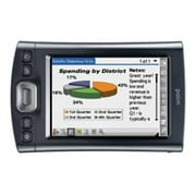 Palm T