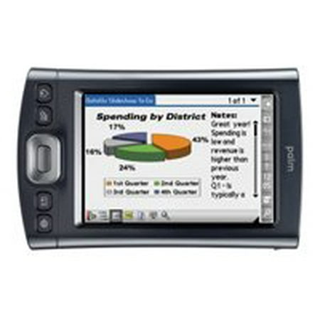 Palm T
