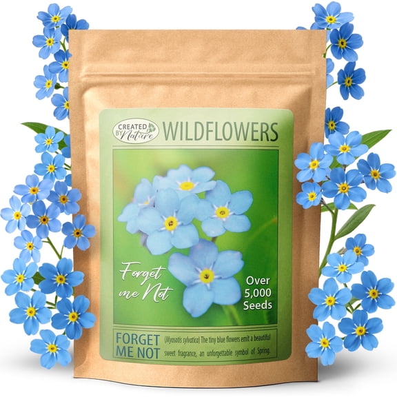 Created by Nature Forget Me Not Seeds, 5,000 Blue Biennial Wildflower Seeds