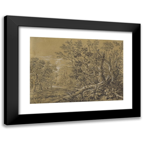 Jonas Umbach 14x11 Black Modern Framed Museum Art Print Titled - Stream Through an Ancient Forest
