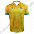 thumbnail image 4 of Camiseta de Rugby para hombre y niño, camisa de equipo para adolescentes, para estar en casa y fuera, Polo de jugador, nuevo de Argentina, 24/25, 4 of 4