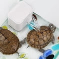 thumbnail image 2 of Water  Filter, 220v Aquarium Pump 2w 200L/H  For Tortoise, 2 of 8