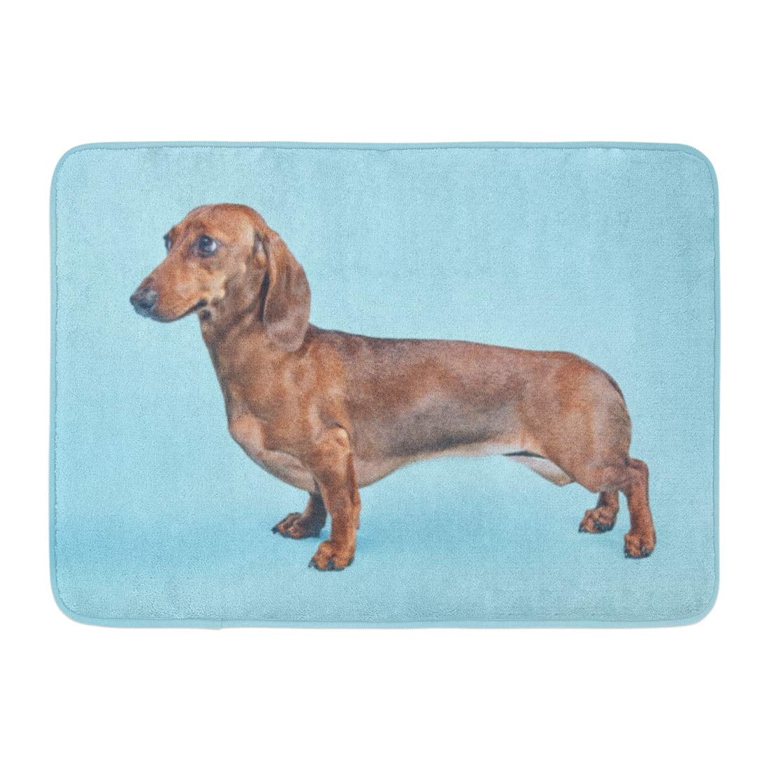 YUSDECOR Breed Adorable Dachshund Sausage Dog Surprised Funny