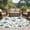Teal LightCyan, variant on Round Area Rug 7 Ft, Watercolor Dandelion Washable Non-Slip Circle Carpet for Living Room/Bedroom, Spring Flowers Botanical Vintage Low-Profile Large Runner Mat Collection Rugs for Indoor
