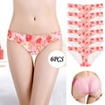 thumbnail image 2 of IROINNID Hipster Underwear For Women At Hip Ladies Low-Rise Leopard Lace Breathable Underpants Graphic Prints Panties,6PCS, 2 of 8