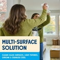 thumbnail image 3 of Aunt Fannie's Glass & Window Cleaning Wipes, Natural Streak-Free Glass Cleaner, 35 Count (Pack of 6), 3 of 4