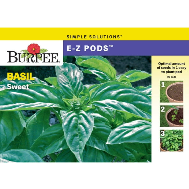 Burpee E-z Pods Basil Sweet - Walmart.com - Walmart.com