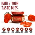 thumbnail image 5 of Louisiana Pepper Exchange 4oz Red Habanero Pepper Puree Sauce, 4-Pack, 5 of 7