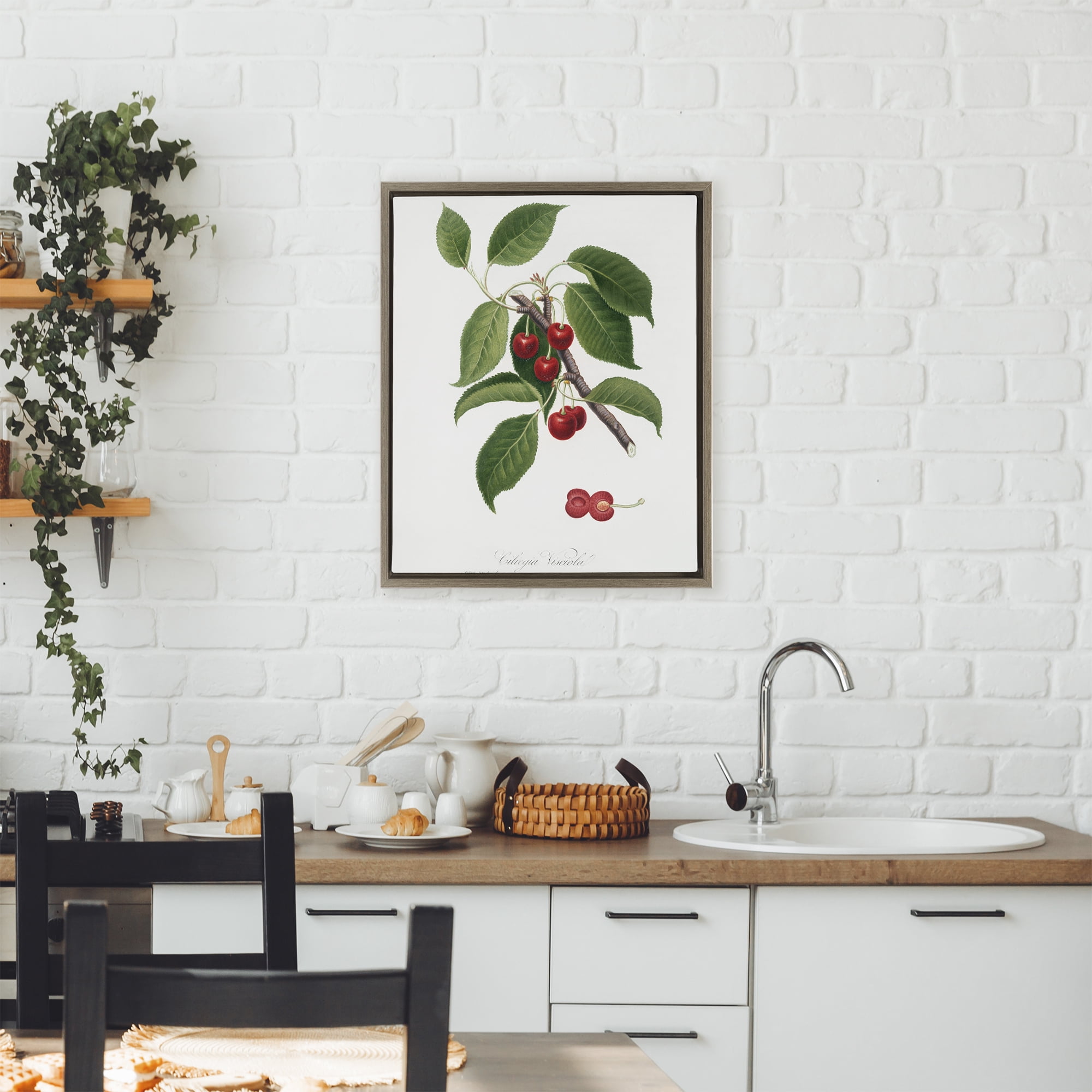 Latin Study of Cherry Plant Brown Framed Floater Canvas Wall Art, design by Lettered and Lined