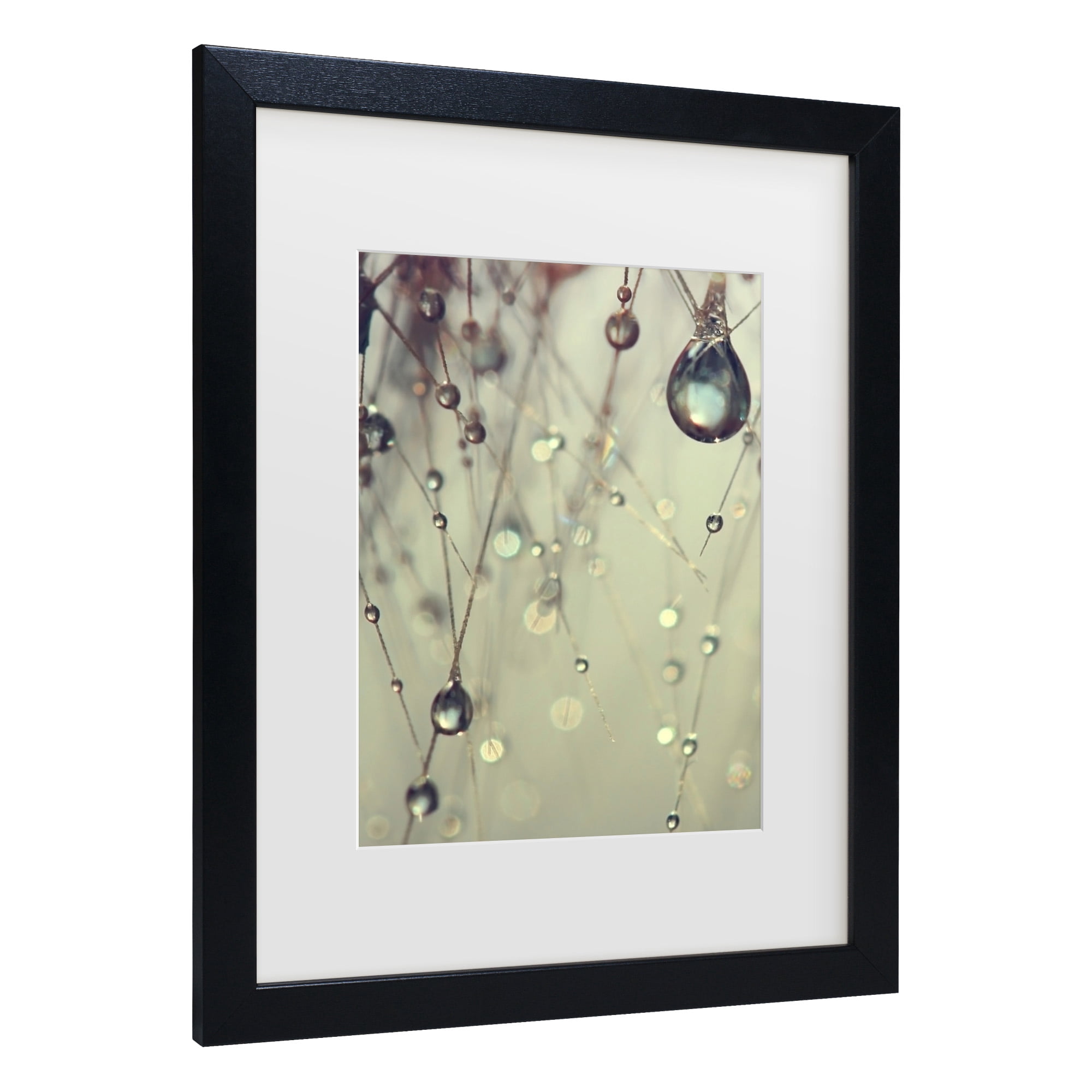 Trademark Fine Art 'Forgotten Wishes' Canvas Art by Beata Czyzowska Young
