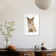 thumbnail image 3 of Domestic Dog, Pembroke Welsh Corgi, adult, sitting, Framed Art Print Wall Art by Chris Brignell Sold by Art.Com, 3 of 5