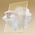 thumbnail image 4 of Tanque Reproducción Peces Rium Pequeño Paisaje Pescado Betta Alta Transparencia para El Oficina en Casa Aqua, 4 of 9