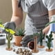 thumbnail image 1 of Ganfancp Simulación Verde Cactus Árbol Tropical Árbol Decoración Atrezzo 4Pc Liquidación 1X Plantas Verdes Simuladas, 1 of 7