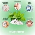 thumbnail image 2 of XyloBurst Gum | Xylitol Chewing Gum | Sugar Free, Gluten Free, Keto Friendly | Aspartame Free Gum For Oral Health | Spearmint | 12 Pieces, Pack of 12, 2 of 8