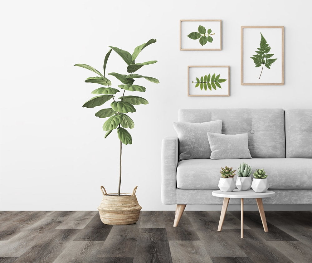 PRODURA-Anthem-Vinyl Plank Waterproof Click Lock Luxury Flooring (48 in x 7-3/8 in x 6mm/22mil)