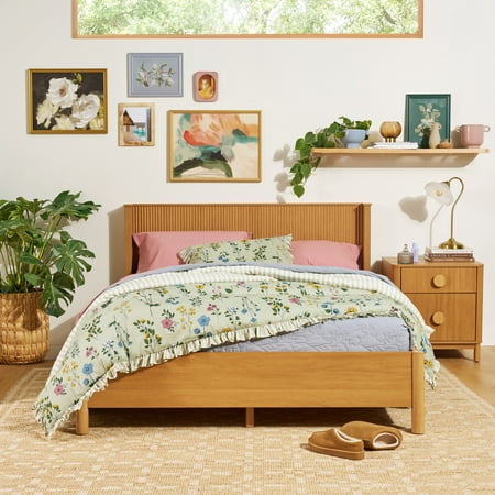 Beautiful 100% Cotton Botanical 3-Piece Sage Green Comforter Set, Full/Queen by Drew Barrymore