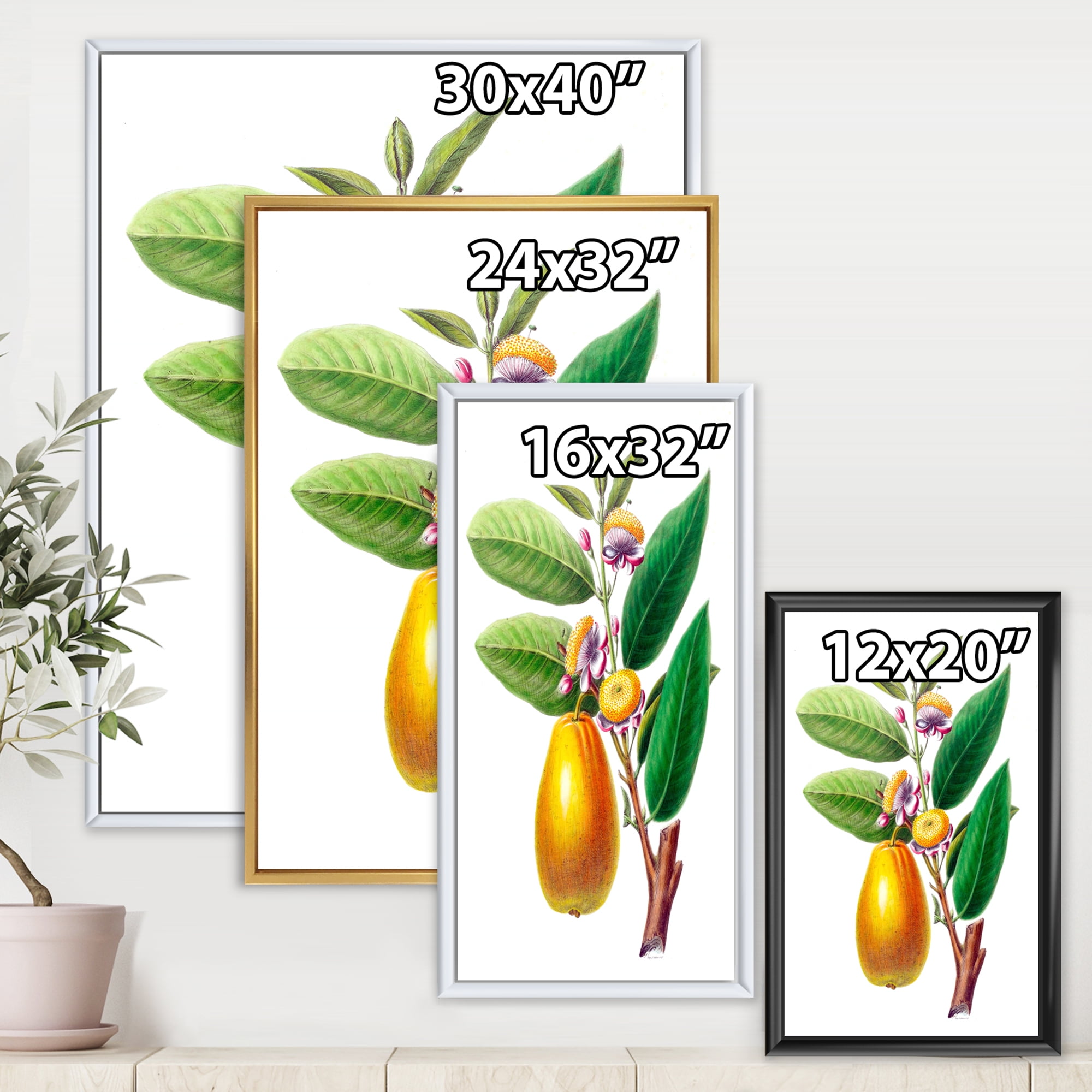 Designart 'Ancient Fruits I' Farmhouse Framed Canvas Wall Art Print